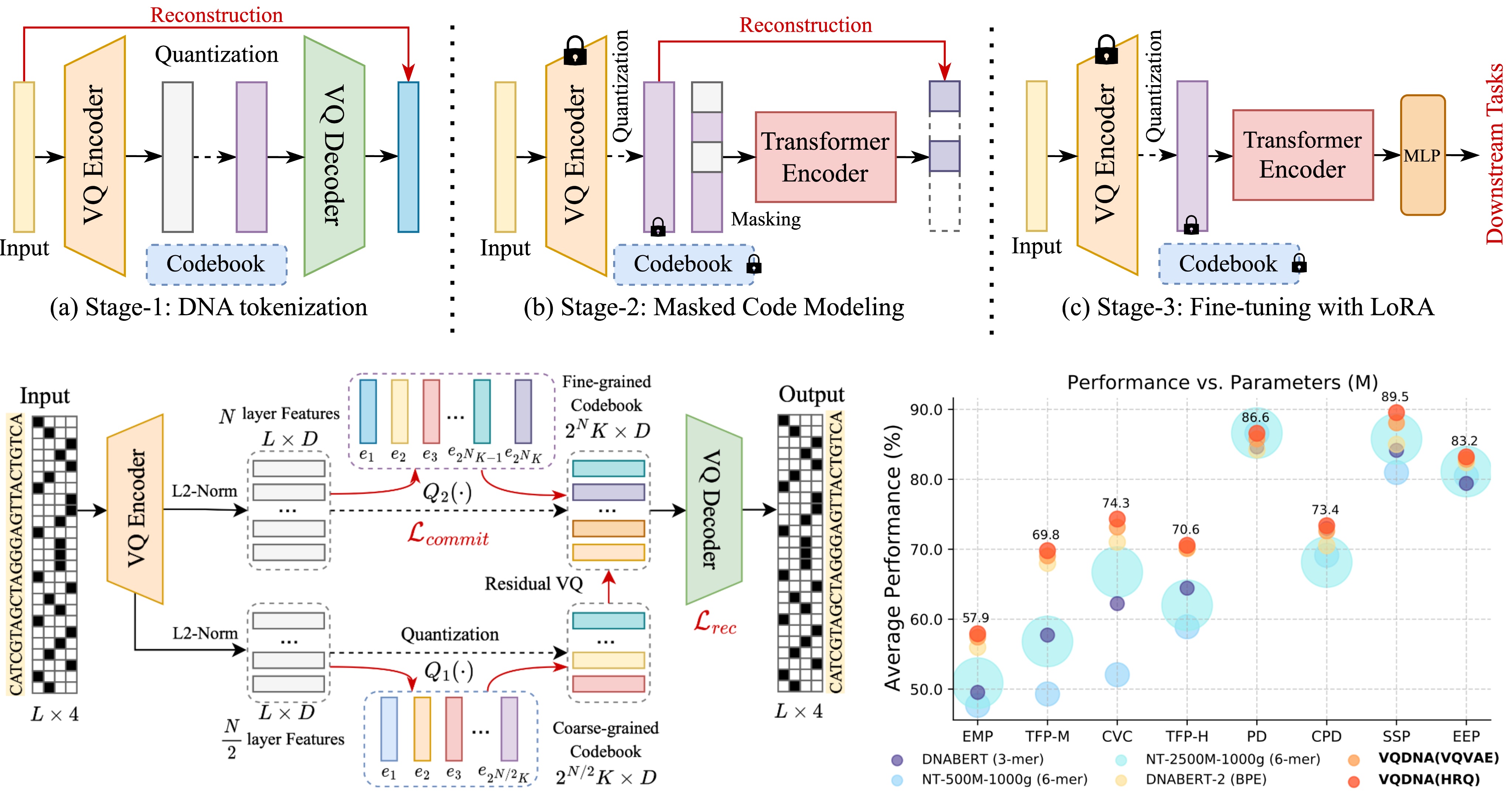 ICML24_VQDNA.jpeg