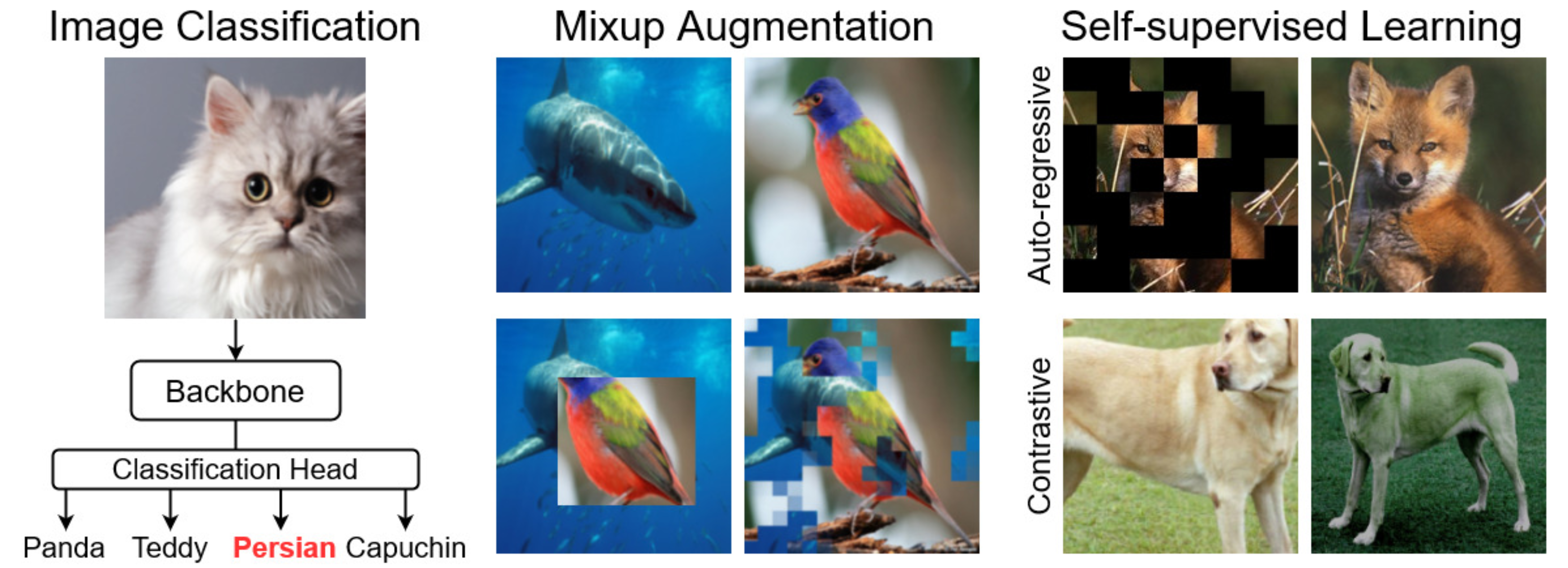 arXiv_2022_OpenMixup.png
